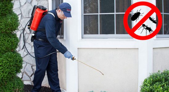 Bademler Akrep İlaçlama böcek ilaçlama ve haşere kontrolü — ilaclama-tr.com